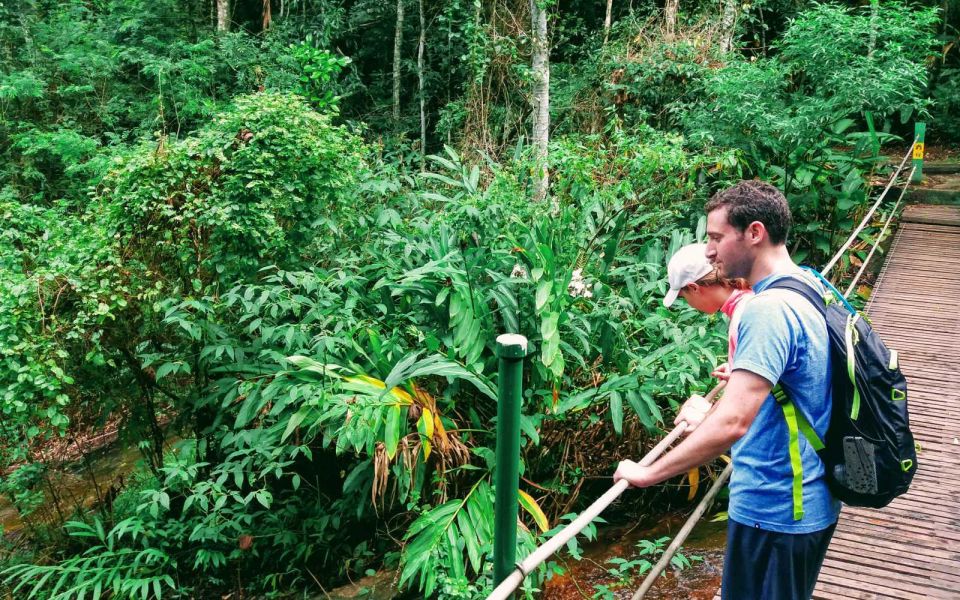 Rio De Janeiro: Tijuca Forest Challenge Hike Full-Day Trip - Activity Details