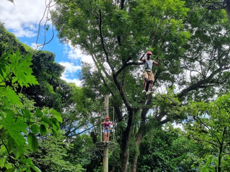 Rio De Janeiro: Zip Lining and Canopy Tree Tour