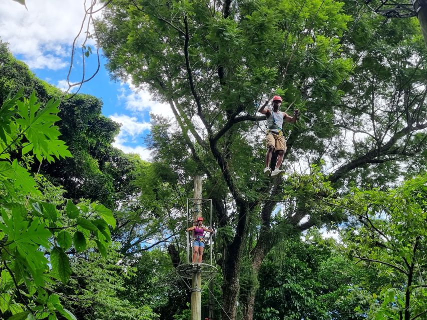 Rio De Janeiro: Zip Lining and Canopy Tree Tour - Activity Details