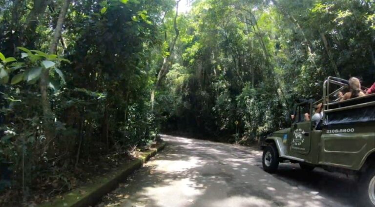 Rio: Jeep Tour to Botanical Garden and Tijuca Forest