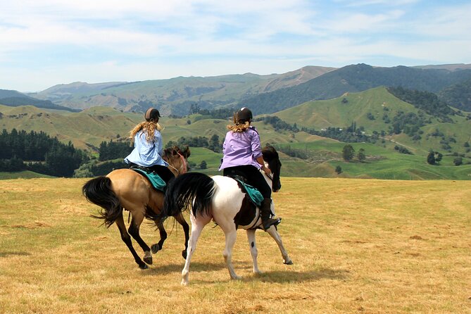 River Valley Stables – Burn The Breeze, Half Day Horse Ride For Riders