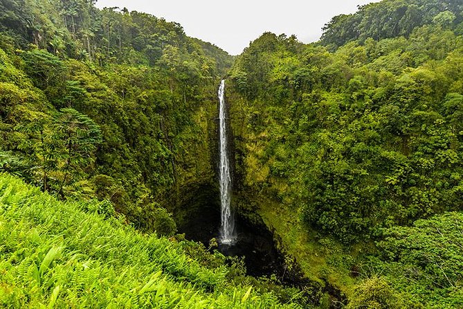 Road To Hana: Maui Waterfall Hiking Tour in Private Jeep - Reviews and Recommendations