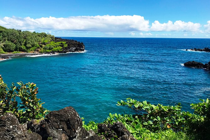 Road to Hana Private Jungle Tour - Tropical Rainforest Drive