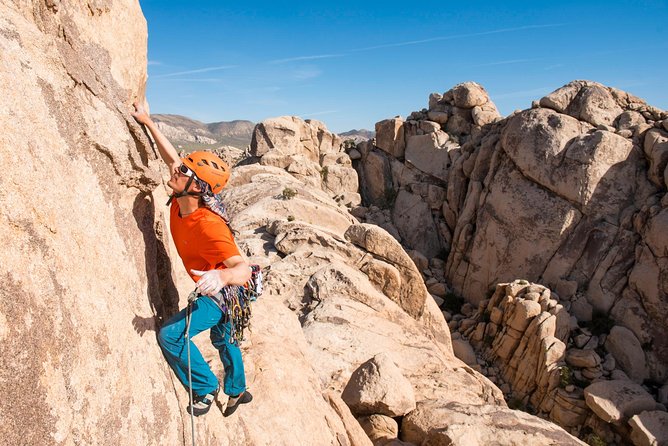 Rock Climbing Trips in Joshua Tree National Park (4 Hours) - Trip Overview