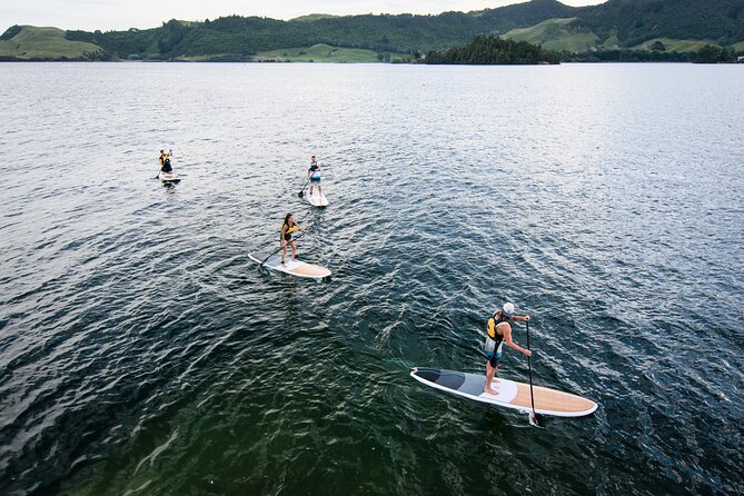 Rotorua Stand-Up Paddle Board Glow Worm Tour - Tour Options and Pricing