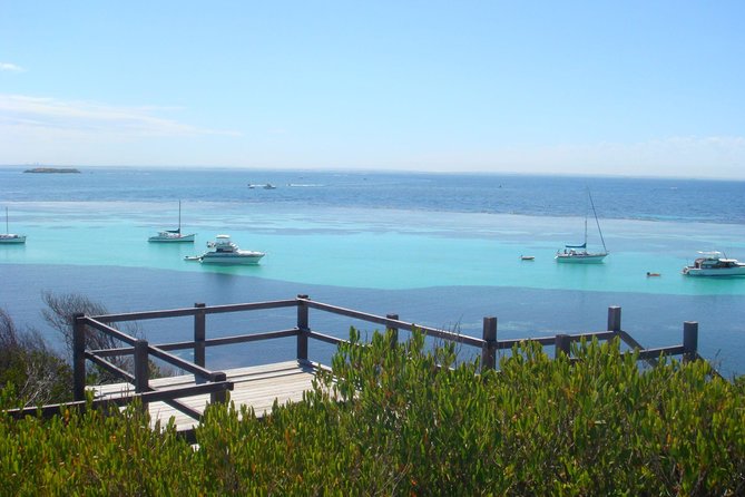 Rottnest Bayseeker Bus Tour From Hillarys Boat Harbour - Tour Inclusions