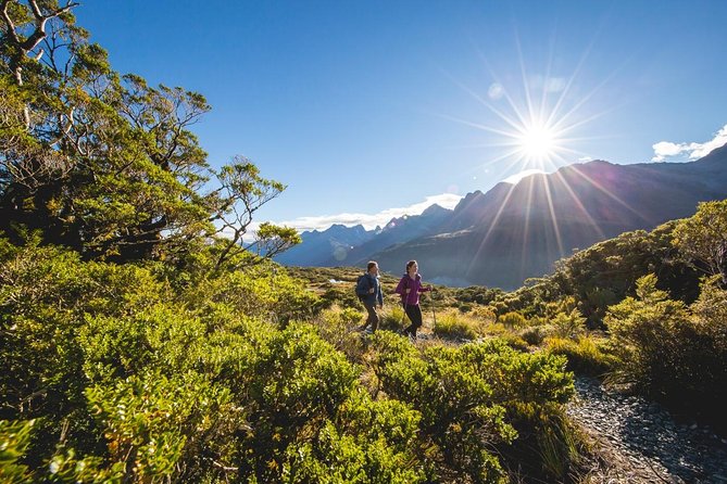 Routeburn Track Day Hike From Queenstown (Privately Guided)