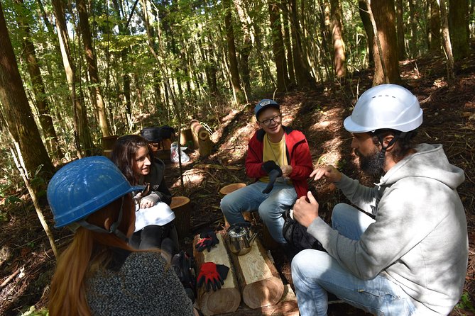 Rural Forestry Tour in Aso Minamioguni - Tour Experience Highlights