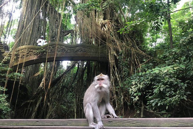 Sacred Monkey Forest Sanctuary - Rice Terrace - Waterfall -Temple - Booking Details