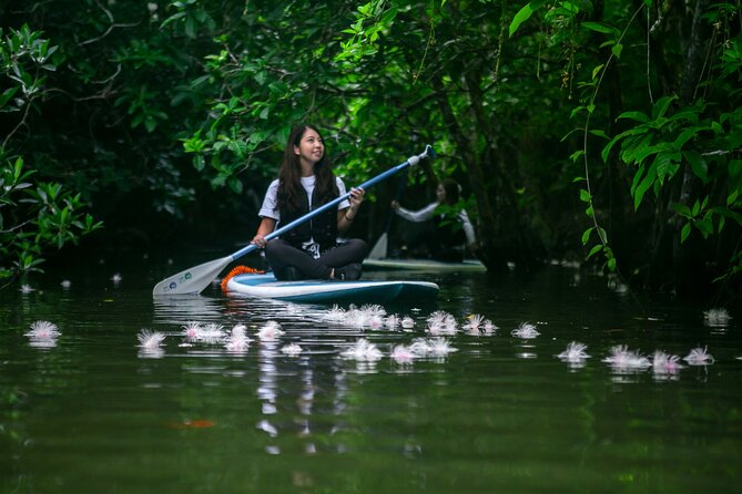 Sagaribana SUP / Canoe Tour Early in the Morning (Limited From June to August)