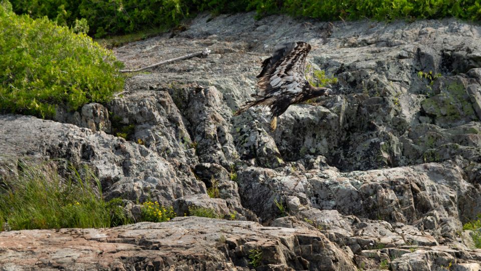 Saint John River: River Relics Kayak Tour - Tour Highlights