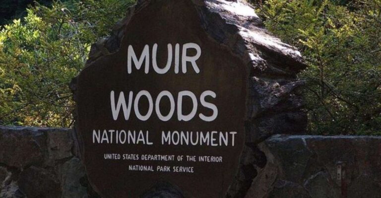 San Francisco: Muir Woods, Sausalito, and Tiburon Day Trip