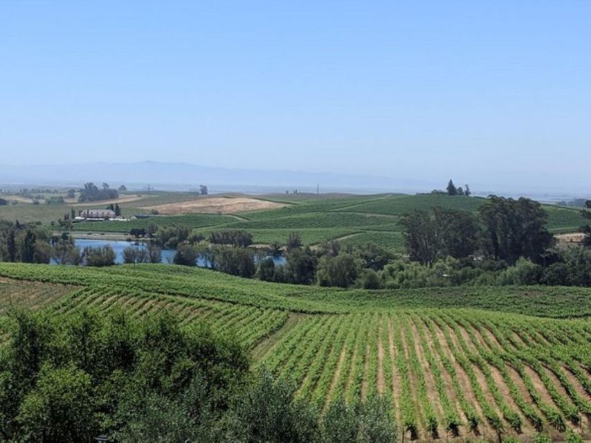 San Francisco: Napa and Sonoma Valley Private Wine Tour - Tour Duration and Guide Details