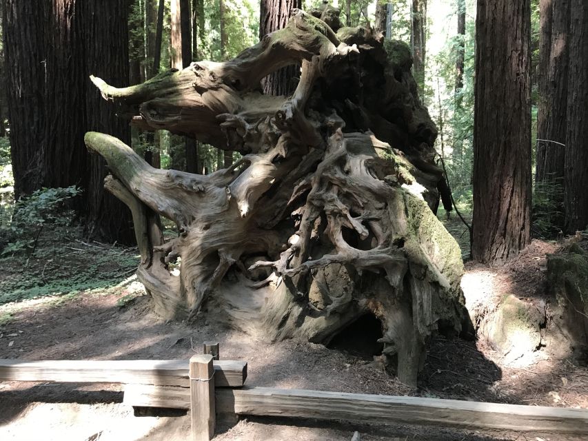 San Francisco: Private Muir Woods and Sausalito Tour - Cancellation and Refund Policy