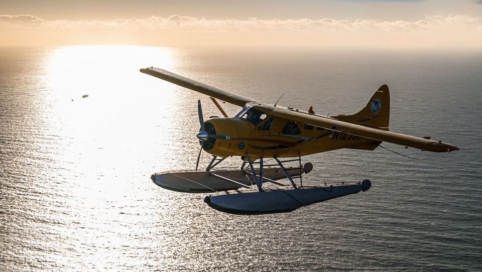 San Francisco: Seaplane Flight With Champagne - Activity Details
