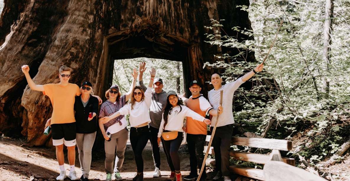 San Jose: Yosemite National Park and Giant Sequoias Trip - Activity Details
