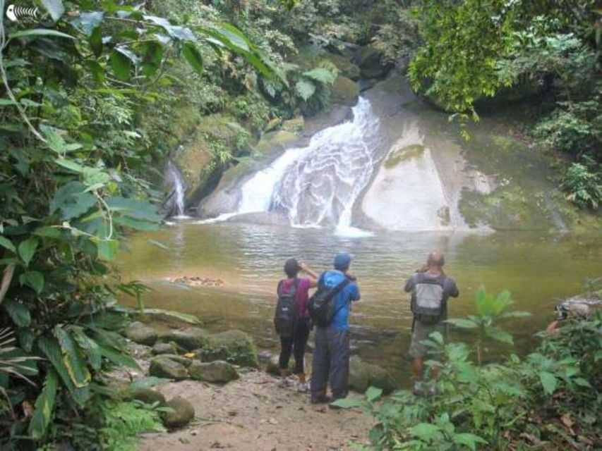 Santos Shore Excursion: Rain Forest and Indian Reserve