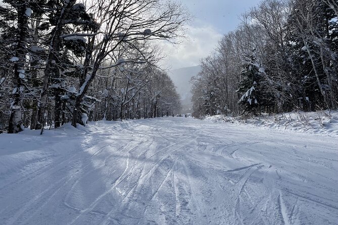 Sapporo Private Ski/ Snowboard Lesson With Pick-Up Service - Benefits of Private Ski/Snowboard Lessons