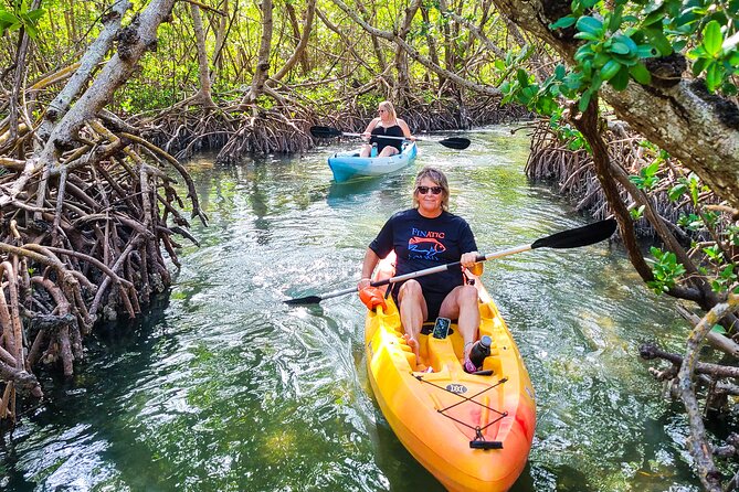 Sarasota: Lido Mangrove Tunnels Kayaking Tour - Tour Highlights