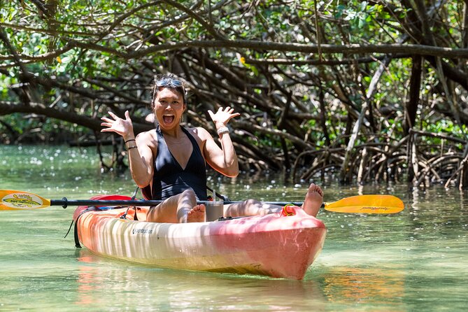 Sarasota Mangroves Kayaking Small-Group Tour - Tour Details