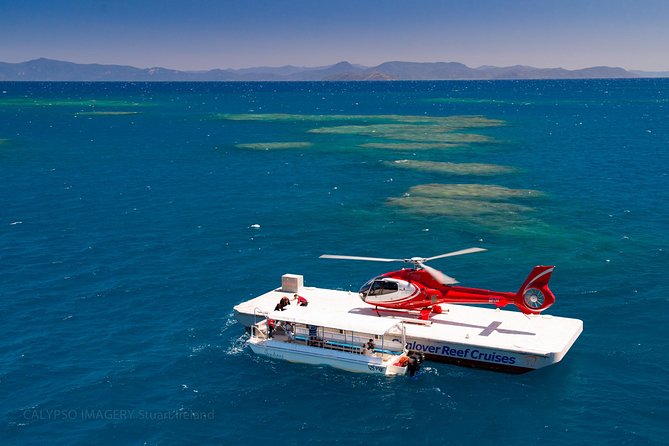 Scenic Helicopter Flight to Moore Reef and Return Snorkeling Cruise From Cairns - Activity Overview