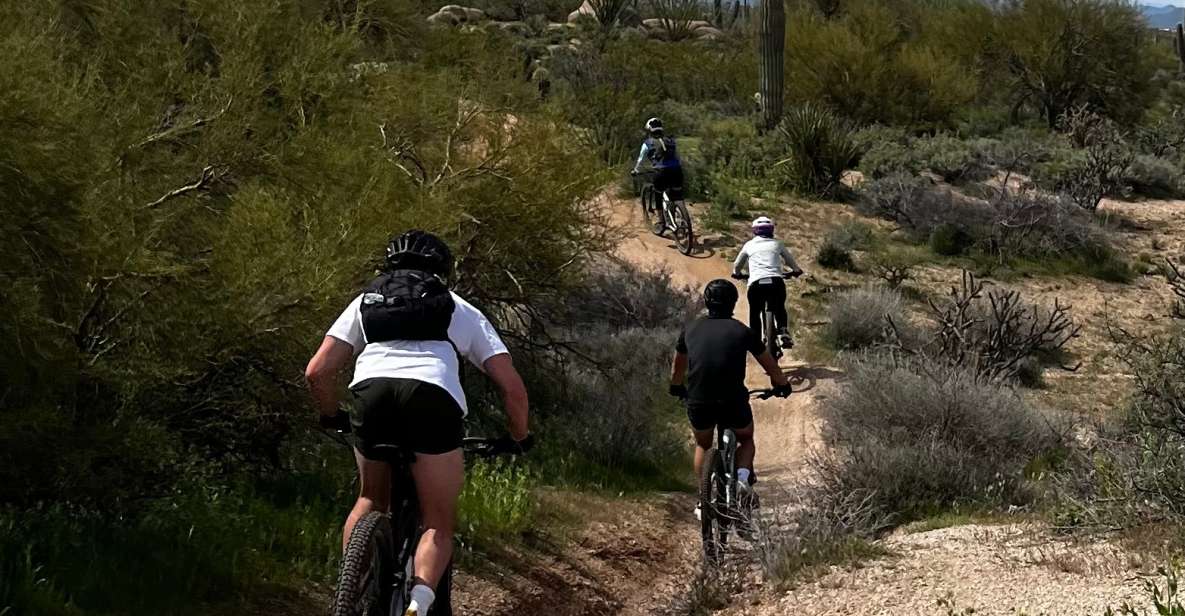 Scottsdale, AZ Private Guided Desert Mountain Bike Tours - Activity Details