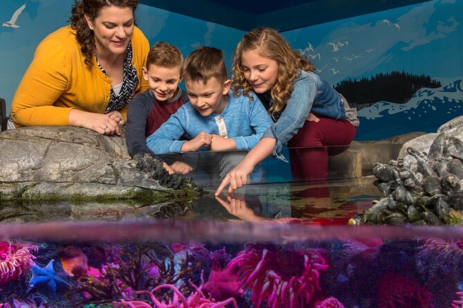 SEA LIFE Orlando Aquarium - Visitor Experience