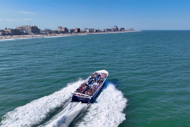 Sea Rocket Speed Boat & Dolphin Cruise in Ocean City