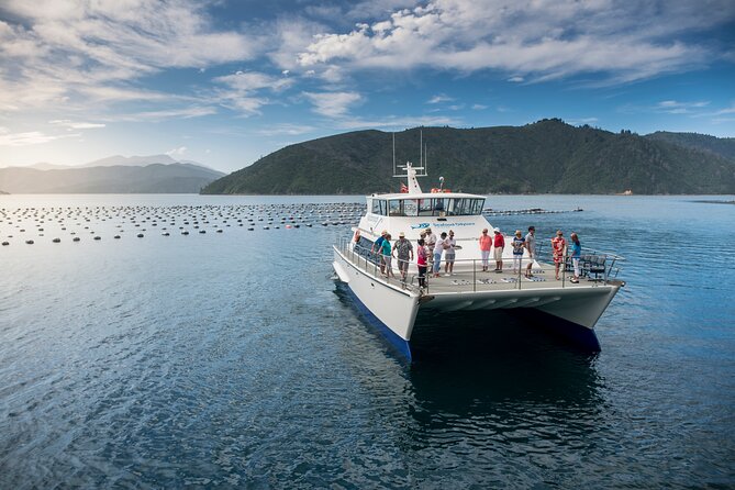 Seafood Odyssea Marlborough Sounds Cruise From Picton - Cruise Duration and Route