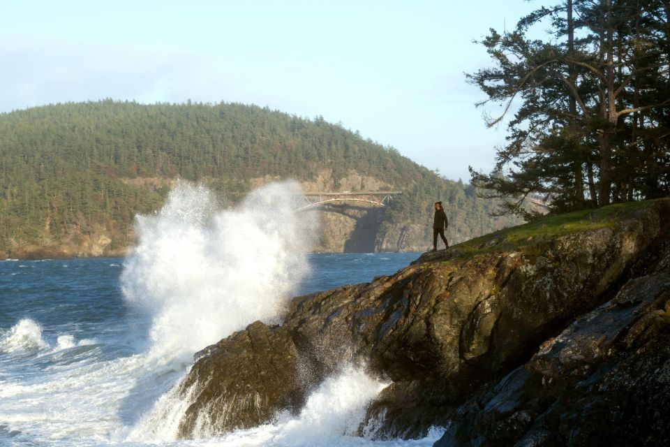 Seattle: Whidbey Island Deception Pass Winter Birding Trip