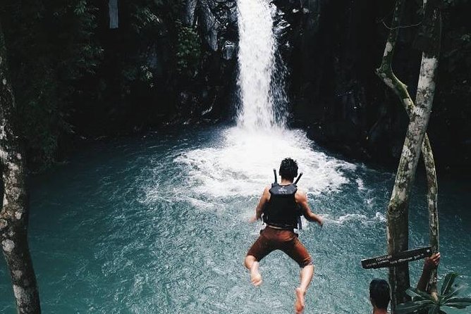 Sekumpul and Aling-Aling Waterfalls Private Tour With Jumps  – Nusa Dua