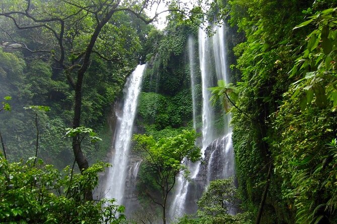 Sekumpul and Banyumala Waterfalls Hiking Tour (Private & All-Inclusive )
