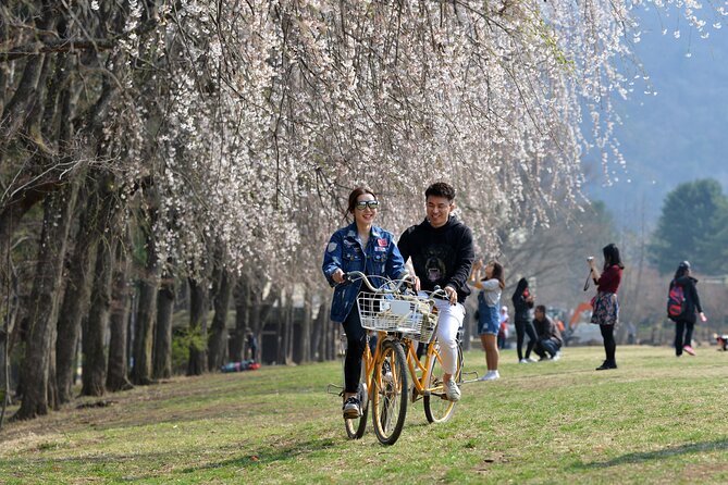 Seoul to Nami Island Round Trip Shuttle Bus Service - Pricing and Booking Details