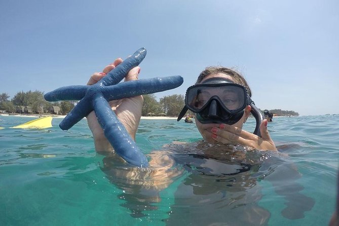 Sharing Snorkeling Trip Gili Islands Depart Lombok/Gili Trawangan