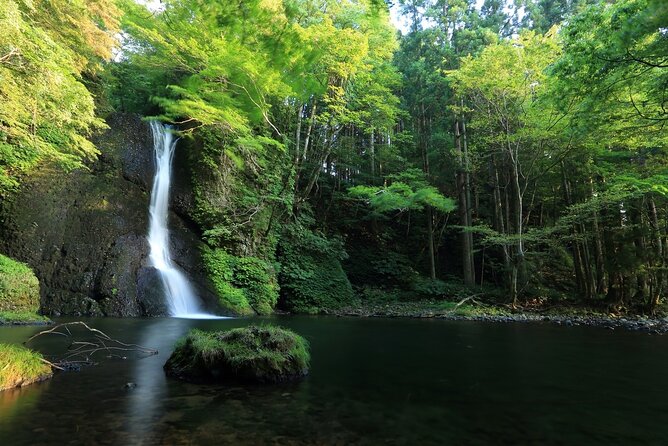 Shirakami-Sanchi: Private Day Hiking Tour  – Aomori Prefecture