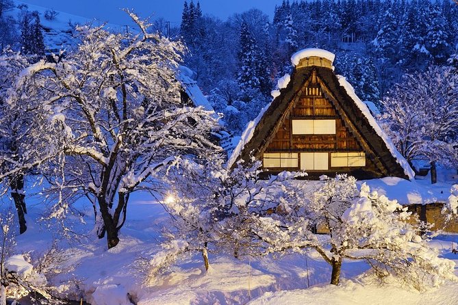 Shirakawago All Must-Sees Private Chauffeur Tour With a Driver (Takayama Dep.) - Tour Overview