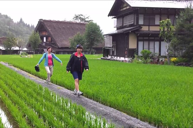 Shirakawago Day Trip: Government Licensed Guide & Vehicle From Takayama - Tour Overview