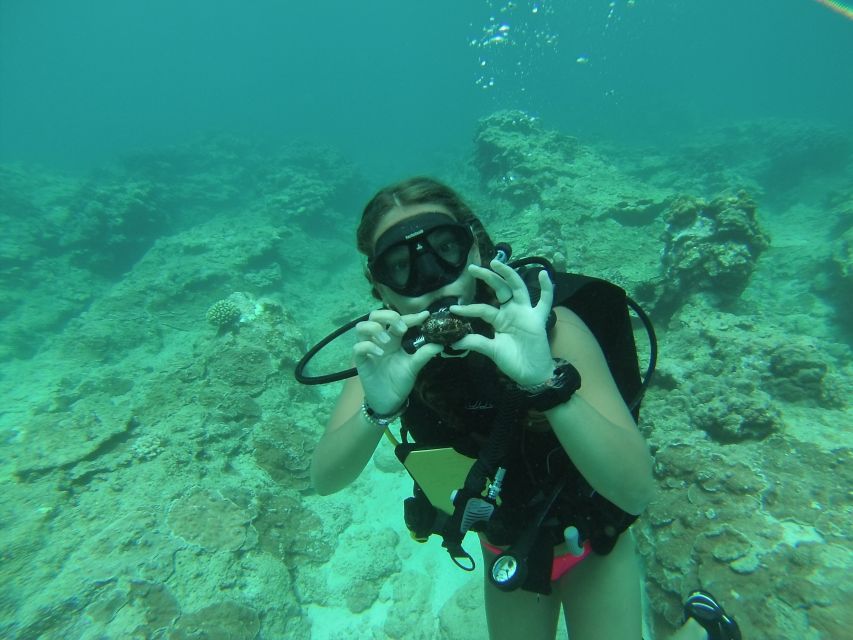 Shore Discover Scuba Diving Experience - Activity Details
