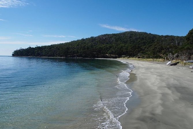 SHORE EXCURSION - Full-Day Guided Bruny Island Tour From Hobart - Tour Highlights