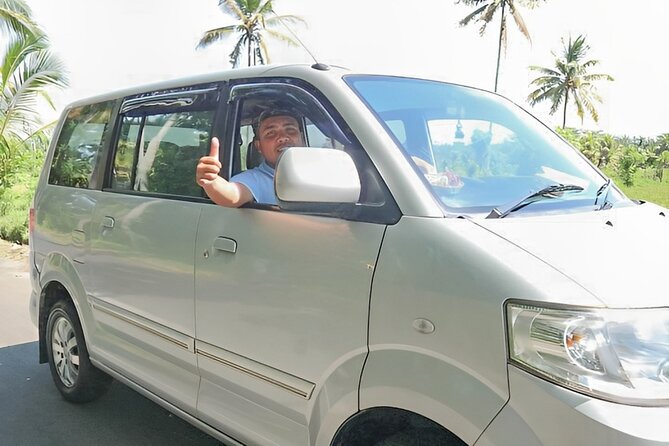 Shore Excursion: Private Bali Car Rental Service