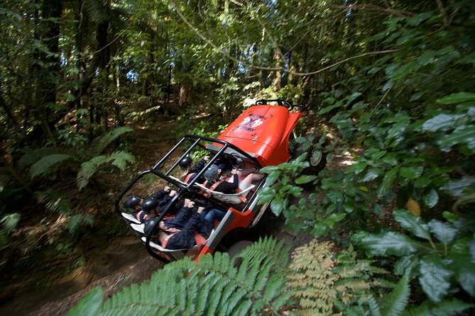 Short Rotorua 4-Wheel Drive Adventure - Experience Details