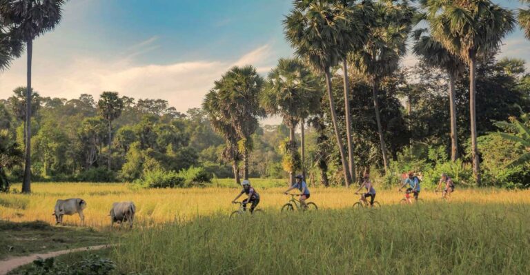 Siem Reap: Countryside Bike Tour With Guide and Local Snacks