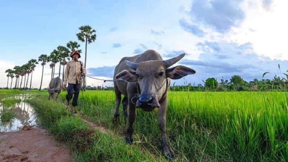 Siem Reap: Guided Countryside Sunset Tour by Jeep - Activity Details