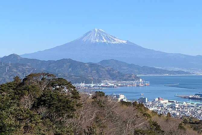 Sightseeing Around Shimizu Port for Cruise Ship Passengers - Top Restaurants to Try in Shimizu