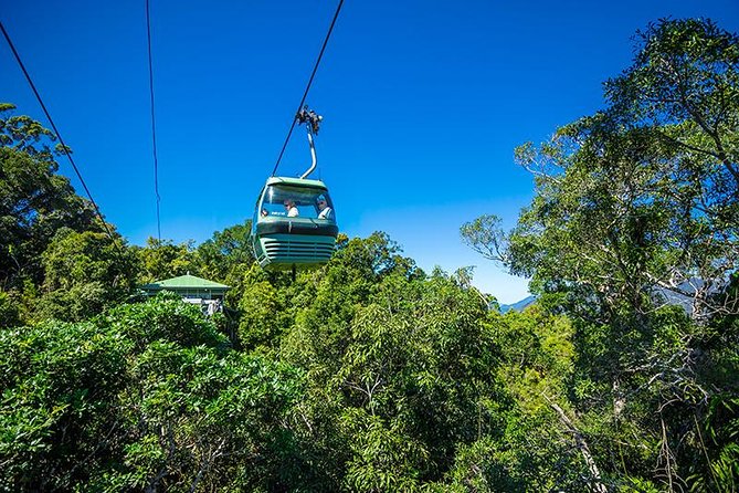 Skyrail Rainforest Cableway Day Trip From Cairns
