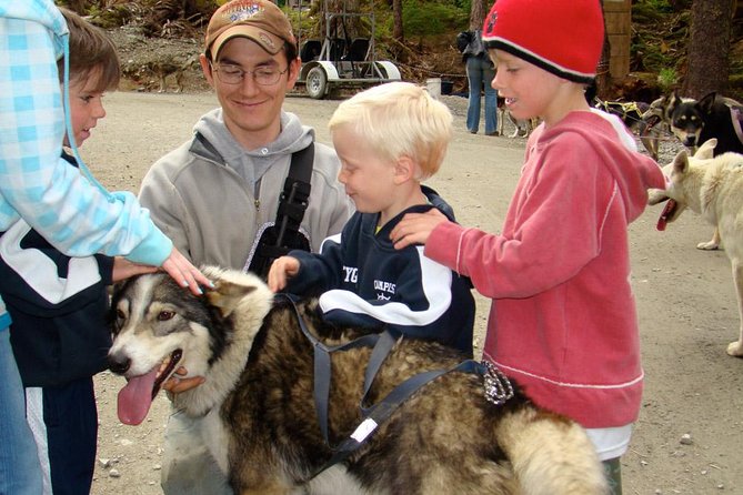 Sled Dog Discovery in Juneau - Tour Overview and Inclusions