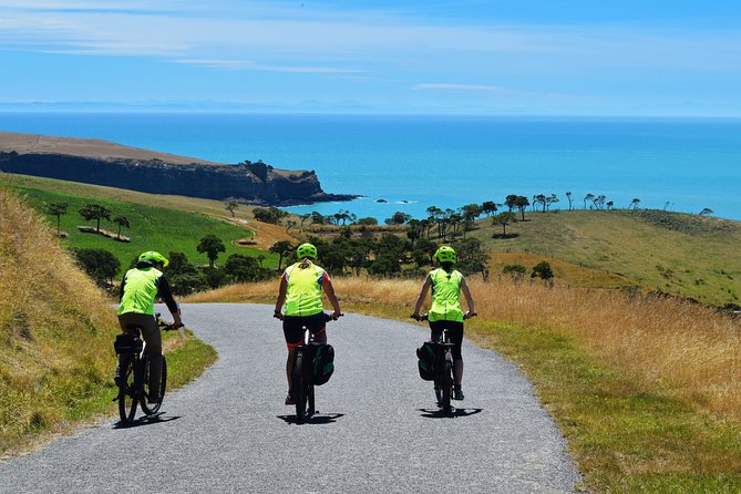 Small-Group 2.5-Hour E-Bike Cycling Tour, Akaroa Harbour