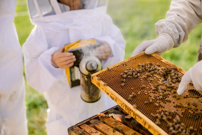 Small-Group Beekeeping Experience in Tauherenikau
