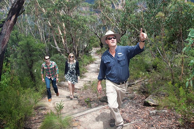 Small-Group Blue Mountains Tour With Bush Walks and Featherdale Wildlife Park - Tour Highlights