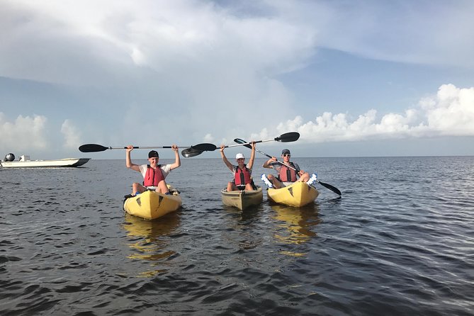 Small Group Boat, Kayak and Walking Guided Eco Tour in Everglades National Park - Wildlife Encounters